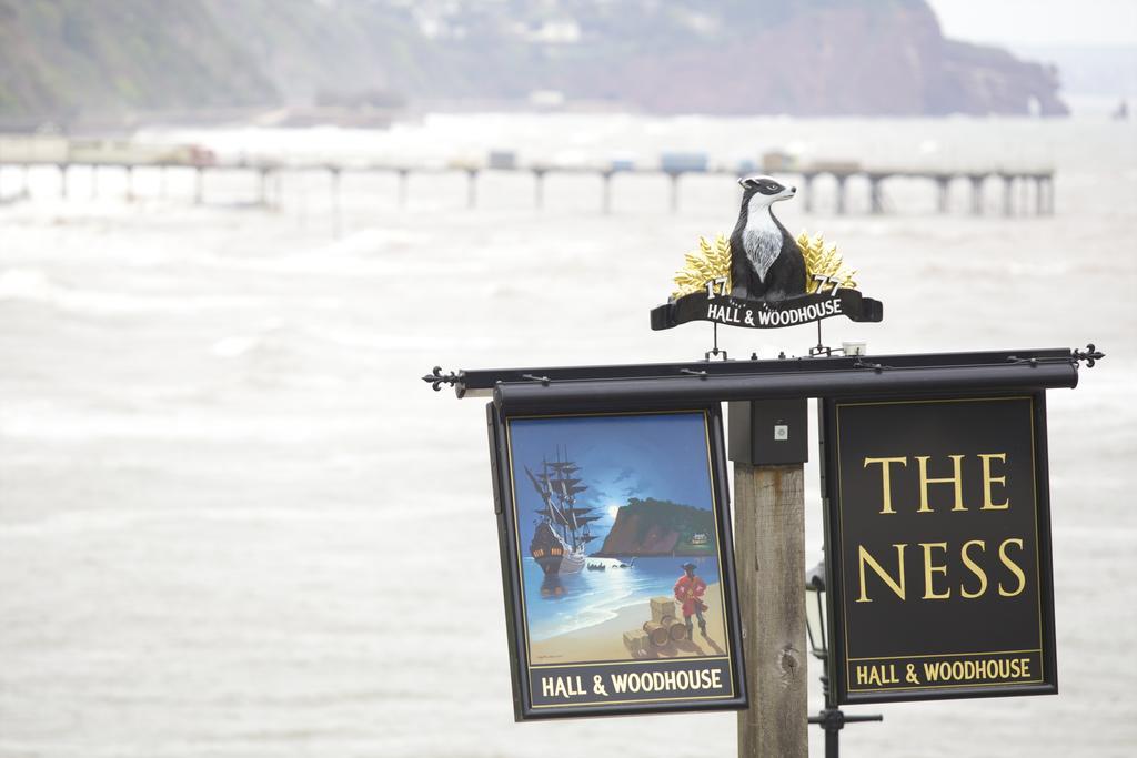 The Ness Bed & Breakfast Teignmouth Bagian luar foto